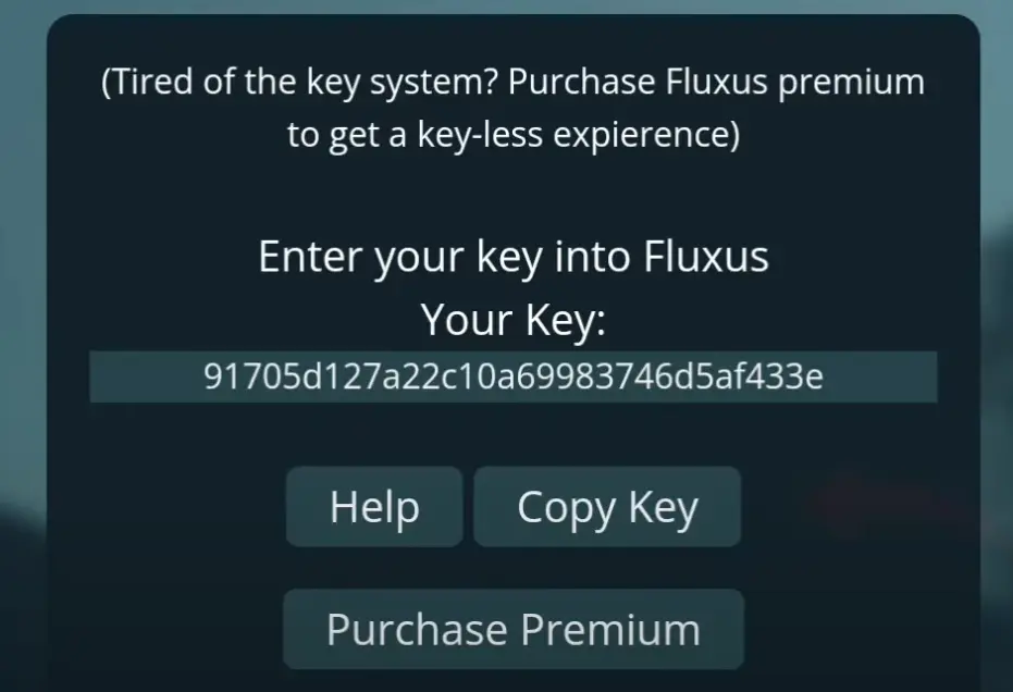 Completion of all steps and pasting fluxus key screenshot